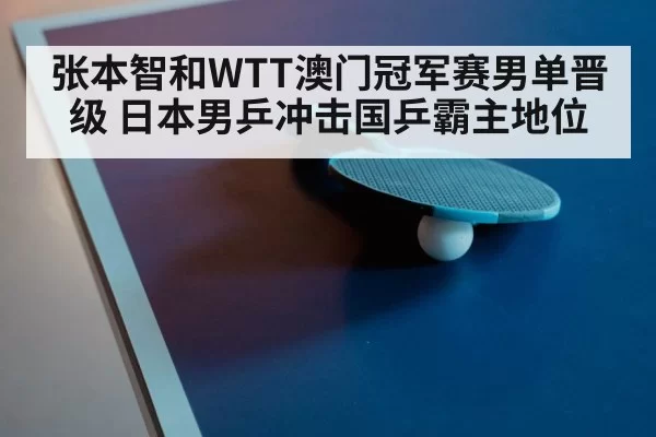 table tennis paddle and ball closeup